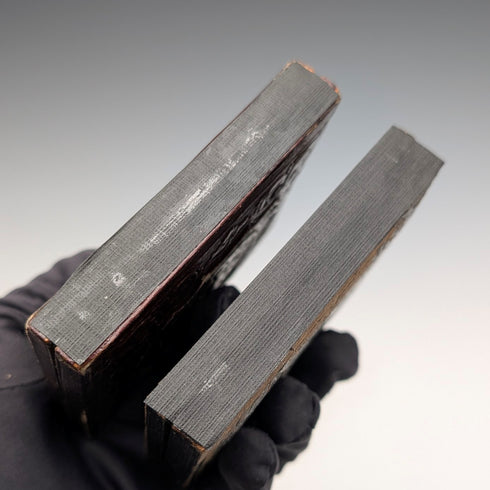 Antique British cased ambrotype pair