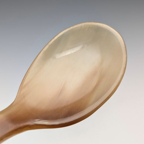 Antique British horn tea caddy spoon with thistle decoration