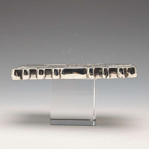 1876 British antique sterling silver card case 60g Colen Hewer Cheshire