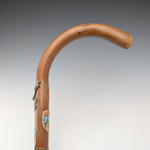 復古歐洲旅遊手杖 棕褐色桿 95 厘米