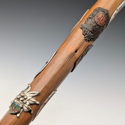 復古歐洲旅遊手杖 棕褐色桿 95 厘米