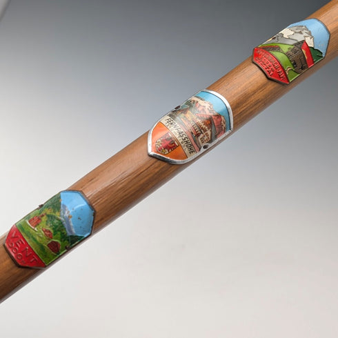 復古歐洲旅遊手杖 棕褐色桿 95 厘米