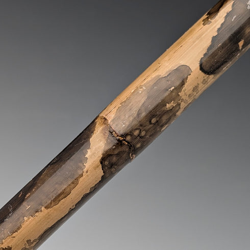 1925 年英國古董手杖,帶有斑駁的桿身、彎曲的手柄和純銀裝飾,86 厘米