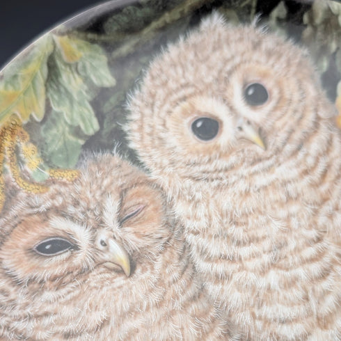 英国ヴィンテージ ウェッジウッド ベビーオウルシリーズ アートプレート4枚セット