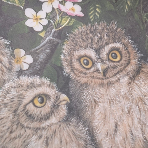 英国ヴィンテージ ウェッジウッド ベビーオウルシリーズ アートプレート4枚セット