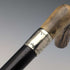 Circa 1900 British antique black shaft L-shaped antler handle walking stick 75cm