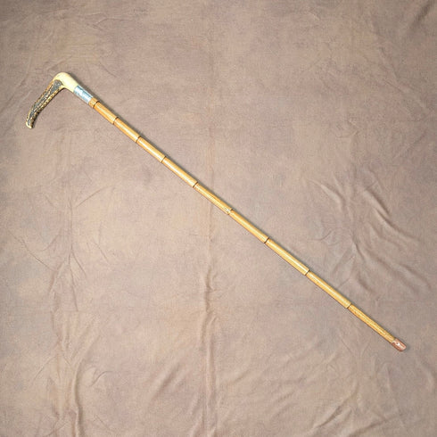 1906 年英國古董棕褐色軸鹿角離合器手柄手杖 80 厘米