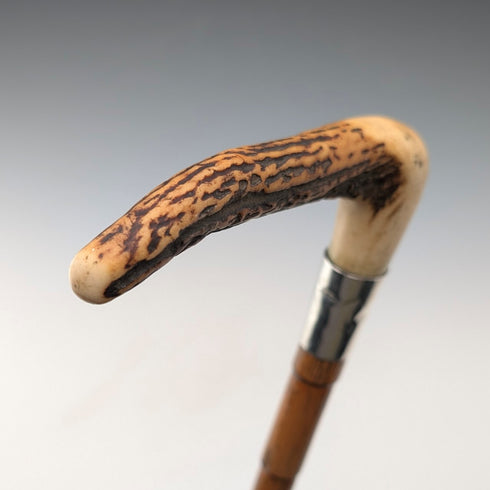 1906 年英國古董棕褐色軸鹿角離合器手柄手杖 80 厘米