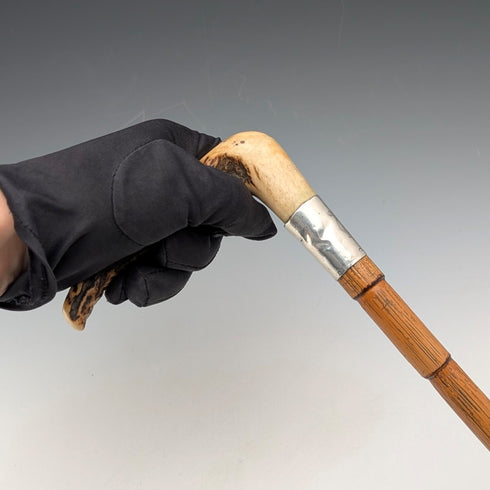 1906 年英國古董棕褐色軸鹿角離合器手柄手杖 80 厘米