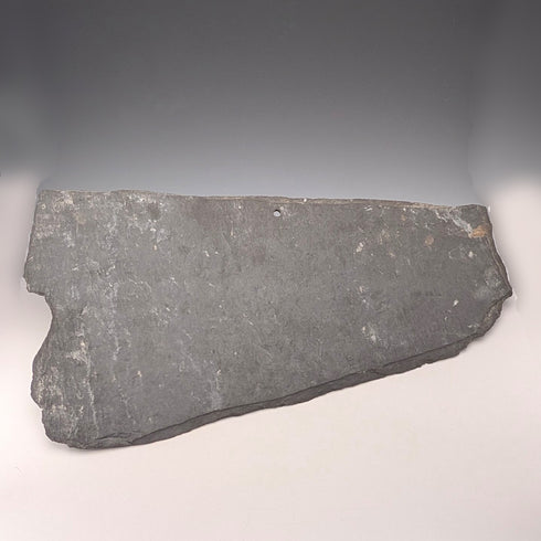 英国ヴィンテージ 石板手書き キジ 壁掛けアート カントリーアート