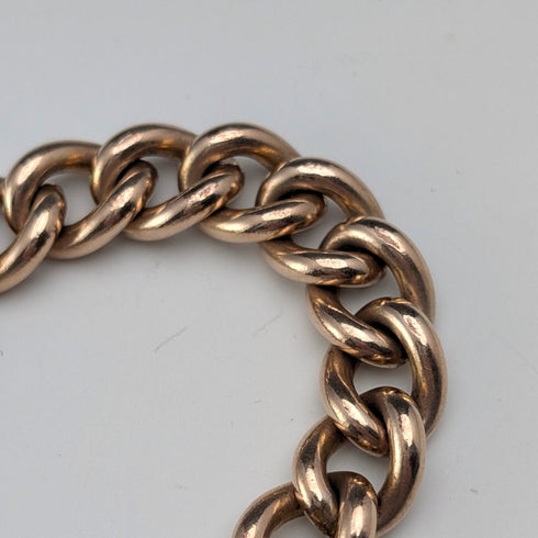 古董英國軋金阿爾伯特鏈,配有雙色旋轉錶鍊和天然寶石。