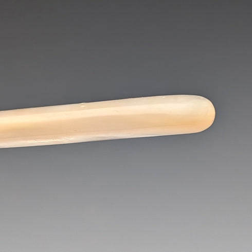 19世紀後半 英国アンティーク 白蝶貝ハンドル シルバープレート製 デザートサービングセット ケース入