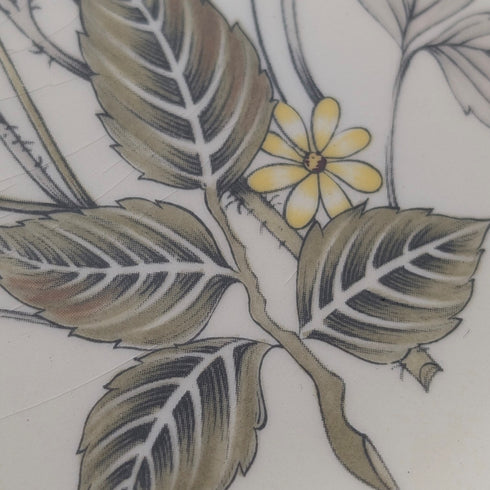 Pair of British Vintage Meakin Trend Hedgerow Pattern Dinner Plates, 27cm Diameter