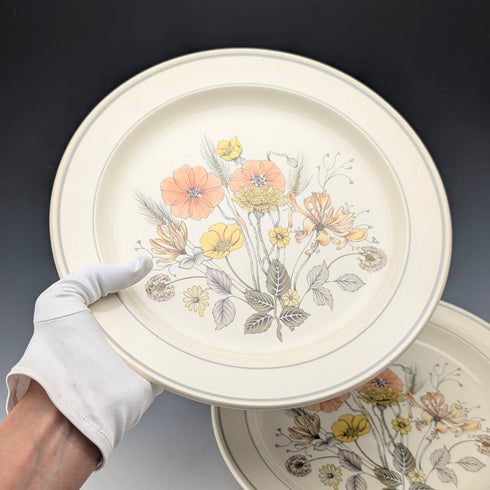 Pair of British Vintage Meakin Trend Hedgerow Pattern Dinner Plates, 27cm Diameter