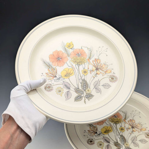 Pair of British Vintage Meakin Trend Hedgerow Pattern Dinner Plates, 27cm Diameter