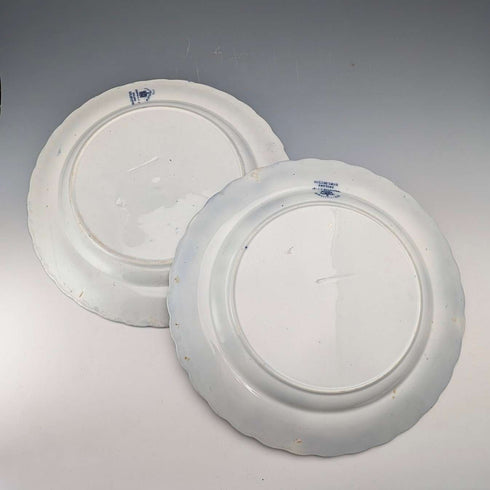 Pair of antique British Burlington pattern semi-porcelain dinner plates by Wedgwood & Co.