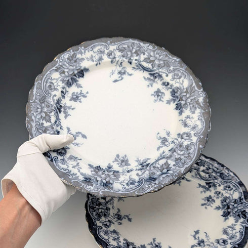 Pair of antique British Burlington pattern semi-porcelain dinner plates by Wedgwood & Co.