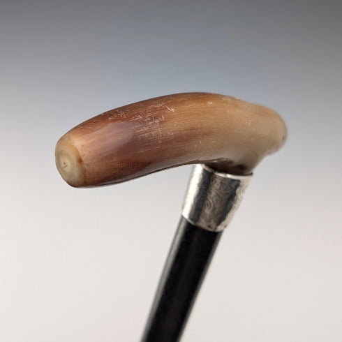 1904 British Antique Black Shaft Horn Clutch Handle Sterling Silver Decorated Walking Stick 90cm