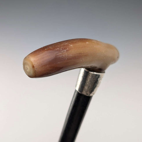 1904 British Antique Black Shaft Horn Clutch Handle Sterling Silver Decorated Walking Stick 90cm