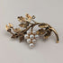 Antique 9ct Gold & Pearl Grape Brooch in Case