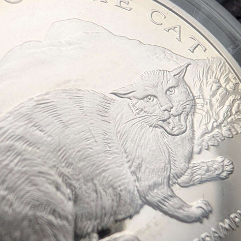 英国マン島 クラウン銀貨 猫の歴史シリーズ:4枚セット PobjoyMint ケース・説明書付