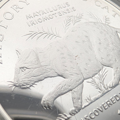 British Isle of Man Silver Crown Coin "The History of Cats: Iriomote Wildcat" by PobjoyMint, with Case and Instructions