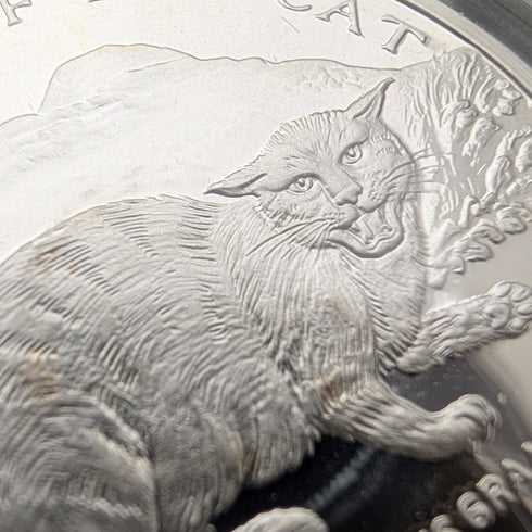 British Isle of Man Silver Crown Coin "The History of Cats: European Wildcat" by PobjoyMint, with Case and Instructions