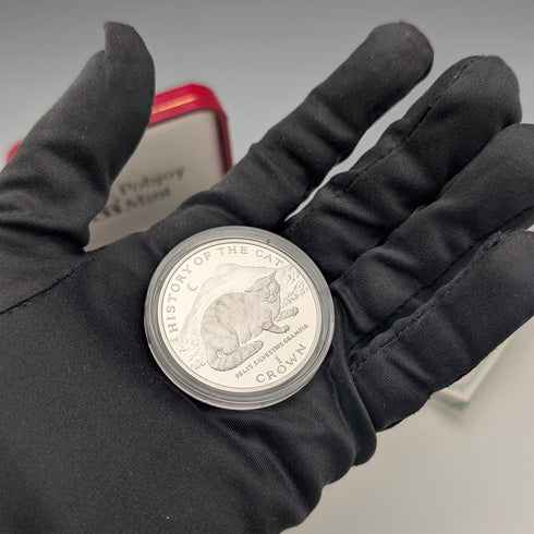 British Isle of Man Silver Crown Coin "The History of Cats: European Wildcat" by PobjoyMint, with Case and Instructions