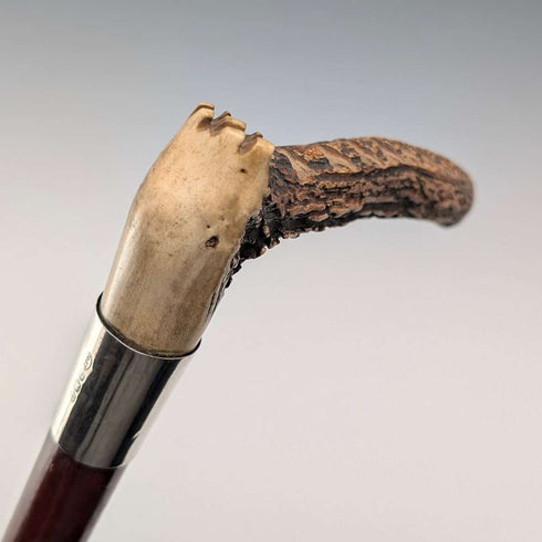 1913 British Antique Riding Crop with Antlers, 52cm