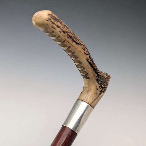 1913 British Antique Riding Crop with Antlers, 52cm