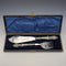 Antique British silver plate fish server set in case