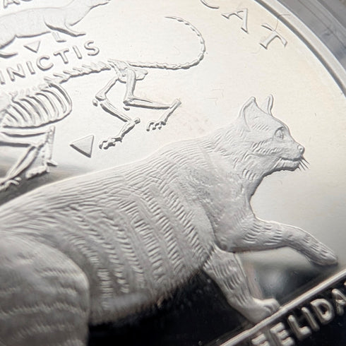 British Isle of Man Silver Crown Coins, Cat History Series: Set of 4, PobjoyMint, with Case and Instructions