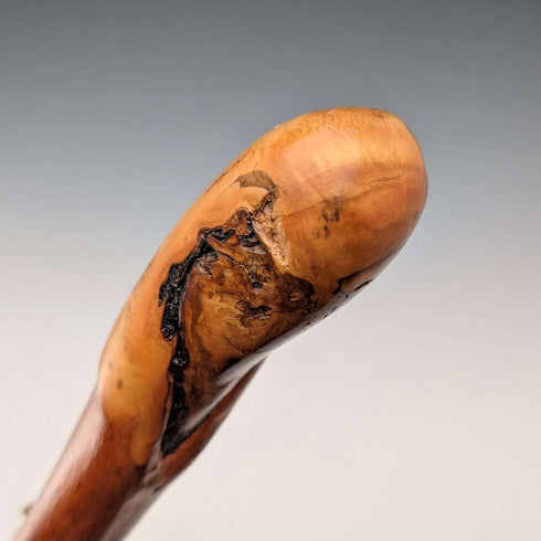 Vintage Natural Wood Hiking Stick with Leather Strap, 124cm