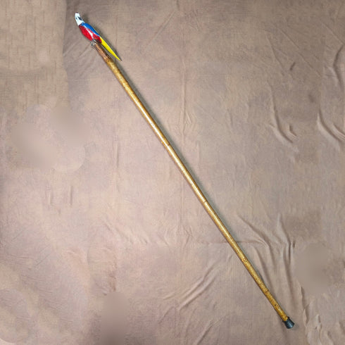 ヴィンテージ 彩色インコ彫刻ハンドル ハイキングステッキ 杖 136cm
