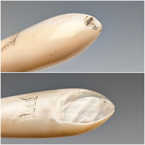 1876年 英国アンティーク 純銀ブレード&白蝶貝ハンドル カトラリー6ペア 木箱入り James Dixon&Sons