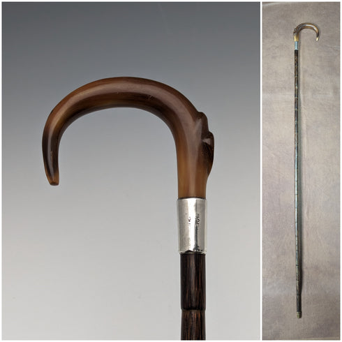 1911 British Antique Ladies Cane Horn Handle Sterling Silver Decoration 92cm