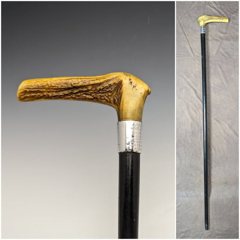 1889年 英國古董 紳士用手杖 鹿角拐杖把手 91cm