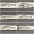 1877 British antique sterling silver cutlery 12 pairs total 1475g Francis Higgins wooden box