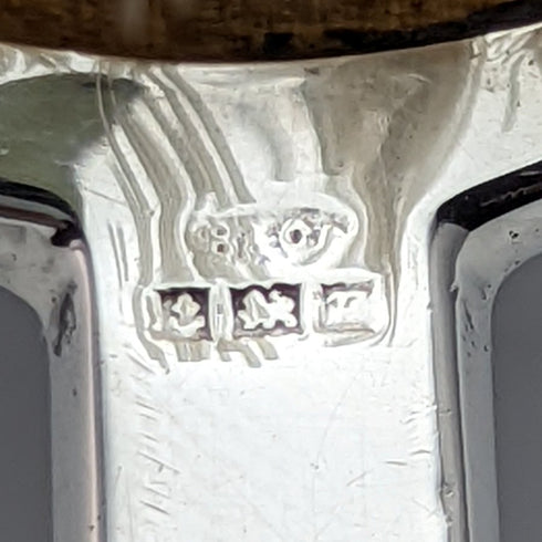 1964 British Vintage Sterling Silver Handle Nylon Brush