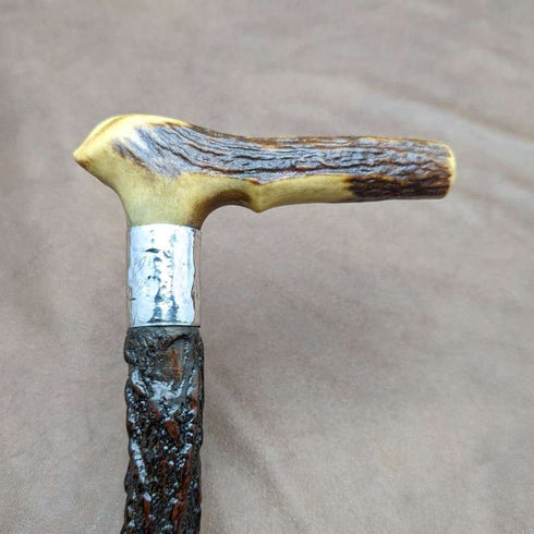 1908 British Antique Men's Walking Stick Deer Antler Clutch Handle 85cm