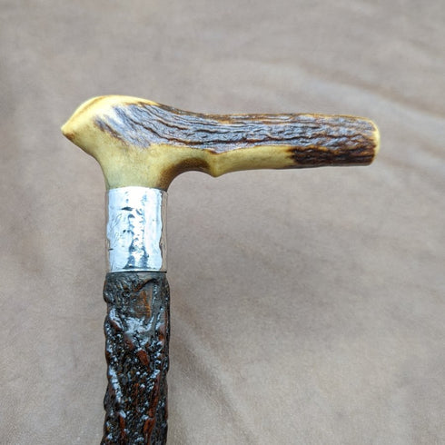 1908 British Antique Men's Walking Stick Deer Antler Clutch Handle 85cm