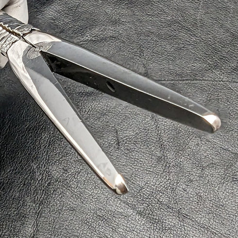 Circa 1892 British antique sterling silver handle accessory set in case