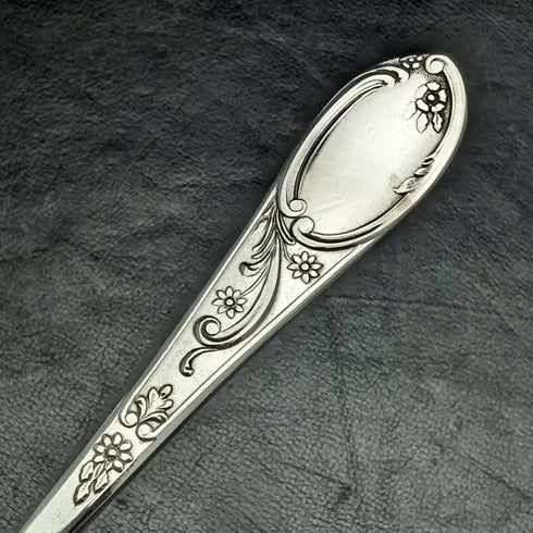 English antique silver plated serving spoon pair in case