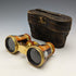 French antique multi white butterfly shell decoration opera glasses binoculars in case