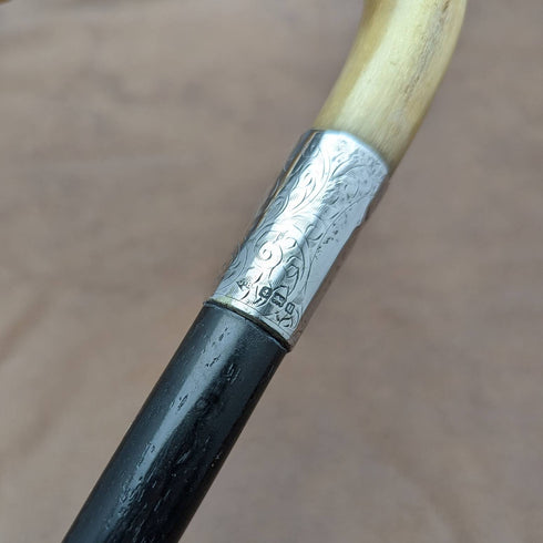 1919 British Antique Gentleman's Walking Stick with Curved Horn Handle 91cm