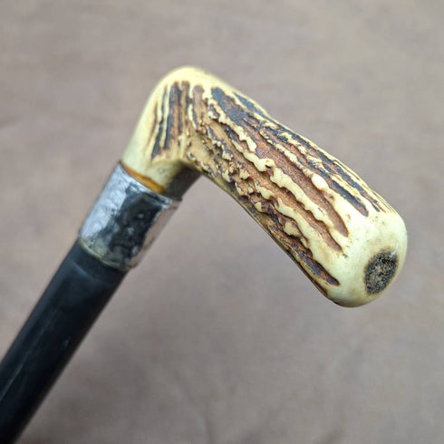 1894 年英國古董男士手杖鹿角手拿包手柄粗桿 80 厘米