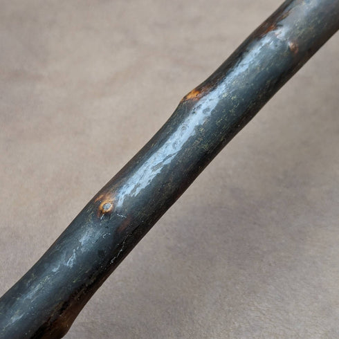 1901年 英国アンティーク 紳士用ステッキ 杖 ホーン製 L字ハンドル 81cm