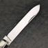 Cuchillo de frutas plegable, antiguo británico, con mango de nácar y hoja de acero inoxidable