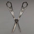 Around 1890 English antique silver plate fruit & nuts set in case