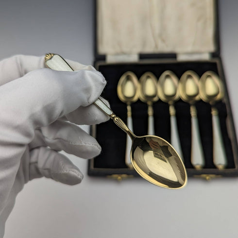 1958 年英國復古純銀鍍金琺瑯花朵裝飾套裝 6 茶匙裝在盒子裡